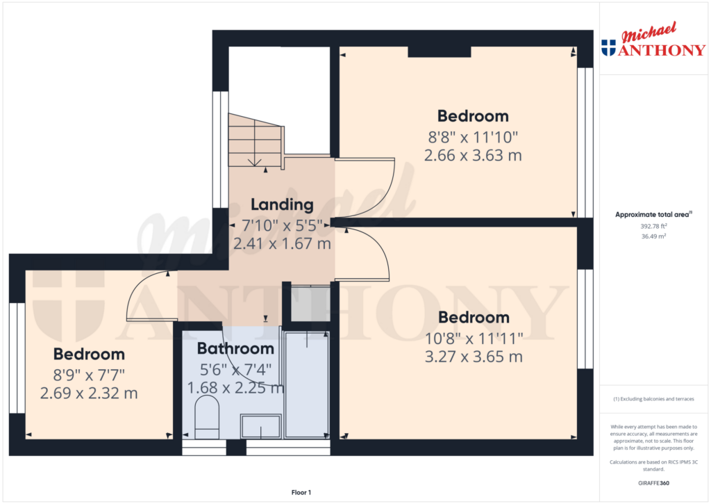 Property Floorplan 2